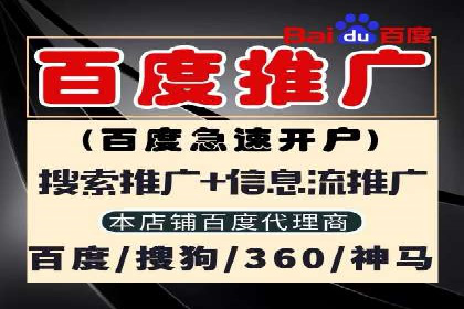 某汽车品牌如何通过SEM外包提升品牌知名度
